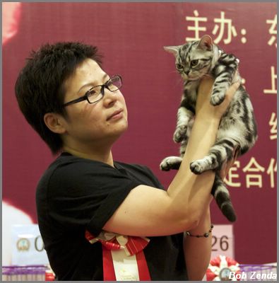 Cat Life Xiao MoGu